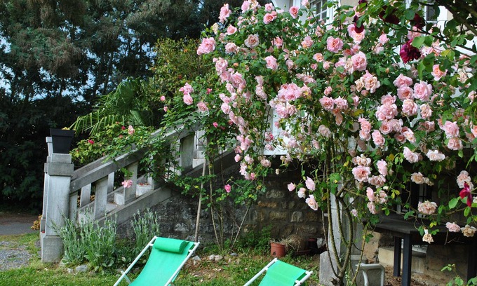 Salies-de-Bearn Bed & Breakfast | Villa Hortebise