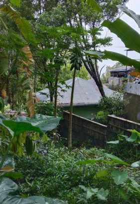 Wanagiri House | Villa Kubu Gitgit