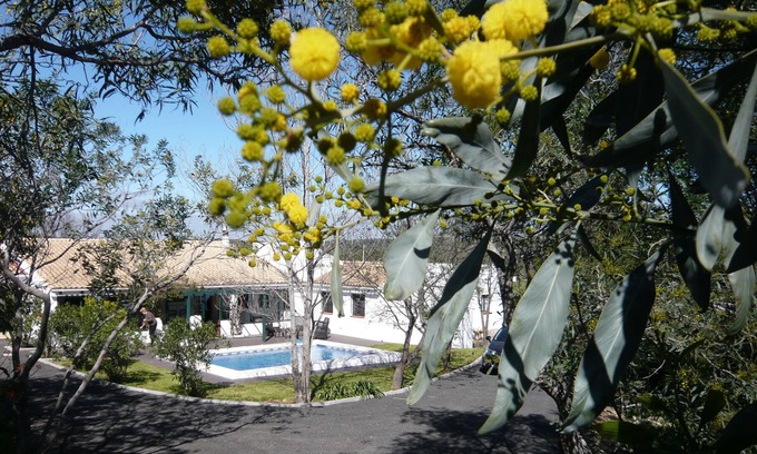 Picarral Villa | Villa located in Algavre in the heart of a typical Portuguese village