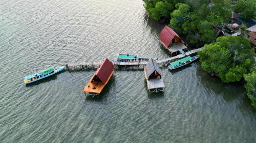 Rajabasa Villa | Villa Mangrove Pulau Pahawang