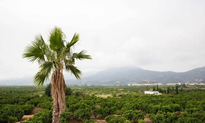 Corbera Villa | Villa Monsalva - 19th Century Valencian House