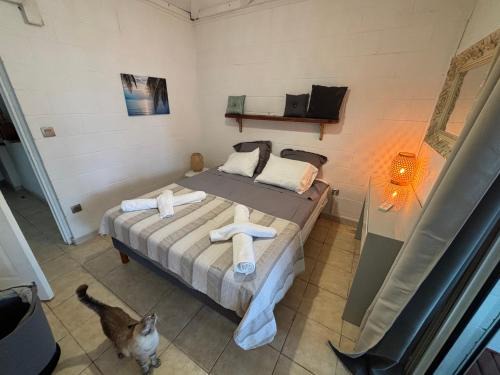 St Gilles-les-Bains Villa | Villa Pétrel