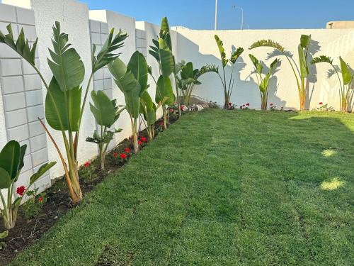 Plage Ejjehmi Villa | Villa rez de chaussée luxe