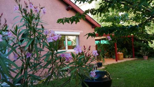 Transvaal Bed & Breakfast | Villa Seignemartin