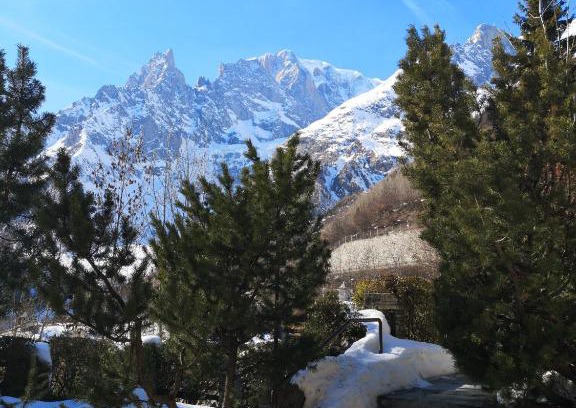 Entreves Apartment | vista monte Bianco