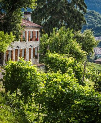 Valdobbiadene House | Vite in Rosa La Casetta