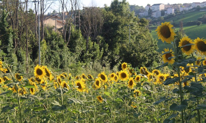 Montegiorgio Apartment | Vrbo Property