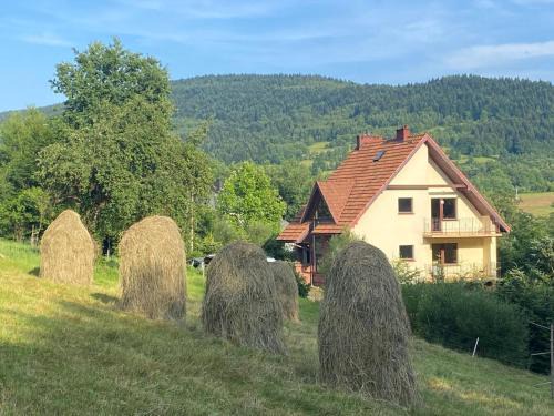 Budzow Apartment | W górach nad strumieniem