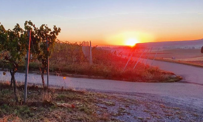 Schwaigern Apartment | Weingut Will und Würz Lemberger