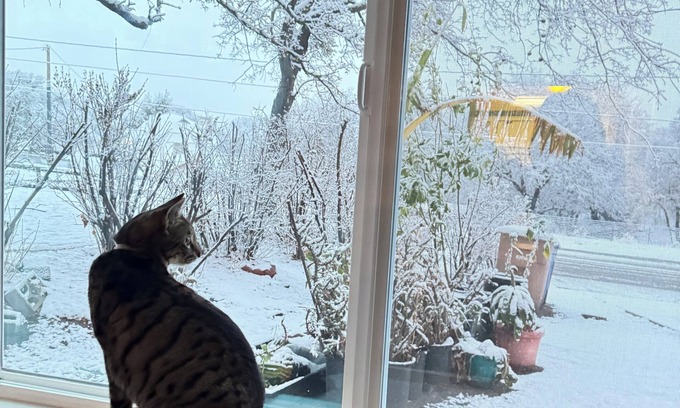 Golden Hills House | Welcoming house with AC in charming Tehachapi