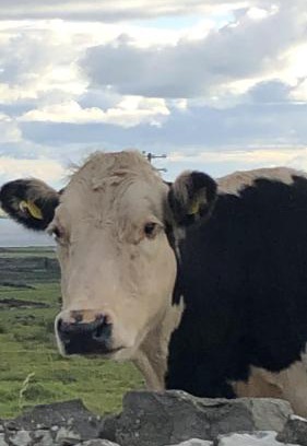 Fanore Apartment | Wild Atlantic Way Apartment