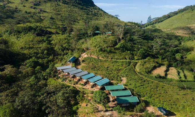 Medadumbara Other | Wild Glamping Knuckles - Thema Collection