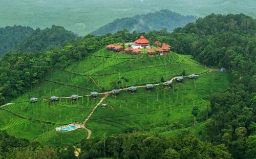Devala Resort | Wild Planet Jungle Resort