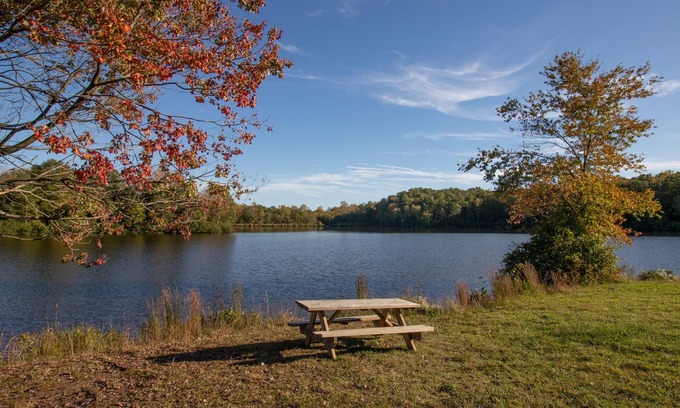 Spotsylvania Cabin | Wilderness Presidential By Tripforth