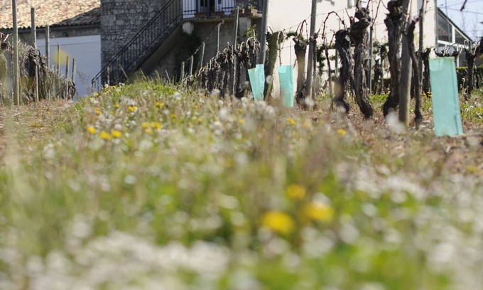 Margueron House | Winetourism in the heart of Bordeaux