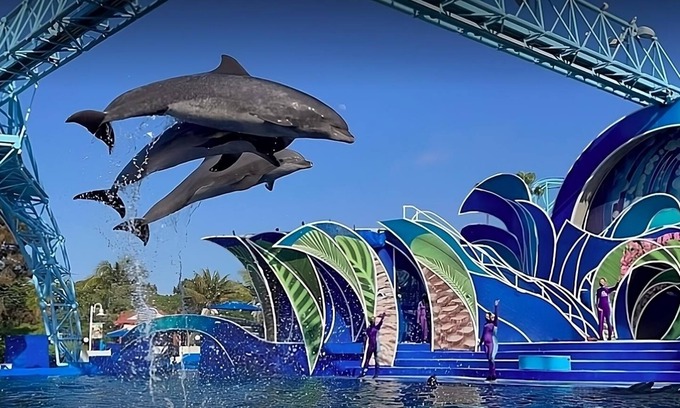 Old Town Hotel | Within Walking Distance of Old Town San Diego State Park! 2 Convenient Units!