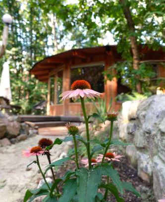 Groesbeek Cabin | Woeste Hoogte - Groesbeek