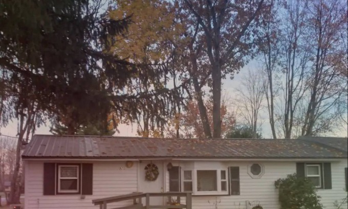 Blossvale Cabin | Woodland Cottage Sylvan Beachnnnn