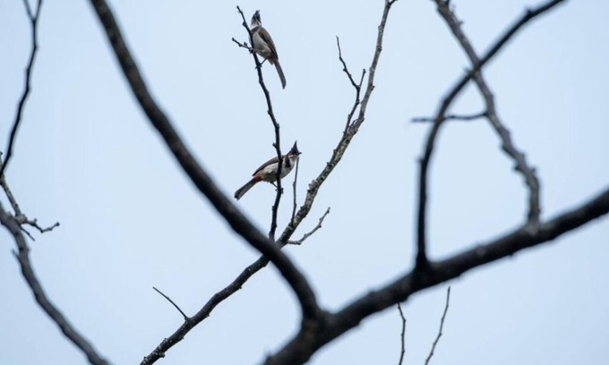 Mannarkkad House | Yanai at Anai - Private Pool & Private Cook