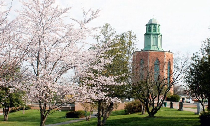 East Garden City House | You Found It! Minutes to City Cellar Wine Bar & Grill! Pets Allowed