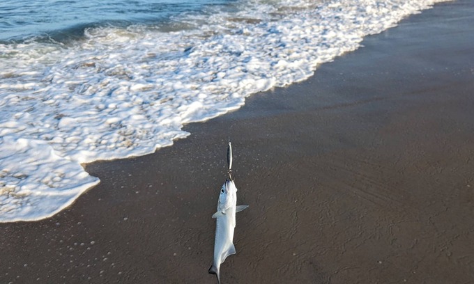 Waves House | Your ultimate Outer Banks retreat: fishing, beach fun, and scenic adventures.