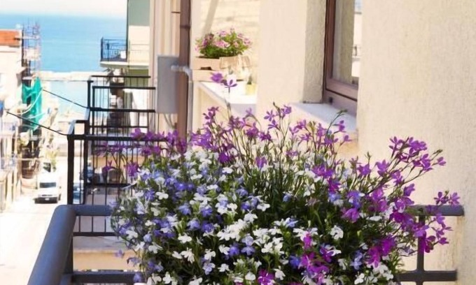 Castellammare del Golfo Bed & Breakfast | zammu bed and breakfast