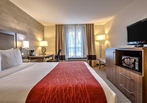 Comfort Inn & Suites South