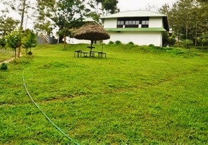 Punarjani Ayurvedic Resorts
