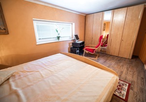 Apartment Irena