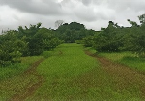 Krishna River Camp