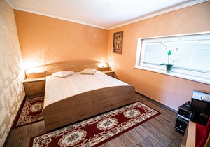 Apartment Irena