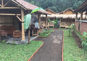 Javana Homestay