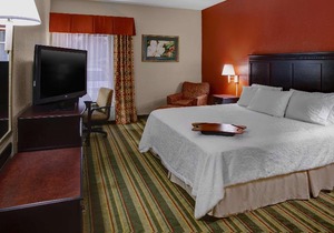 Hampton Inn Richmond-SW Hull Street