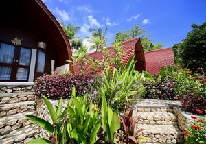 Jungle Paradise