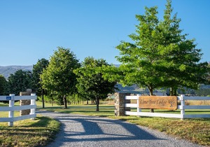 Lime Tree Lodge
