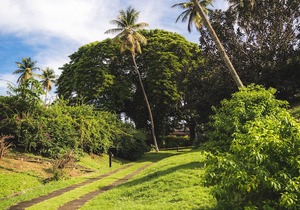 Mount Irvine Bay Resort