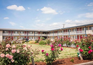 Rodeway Inn Albany