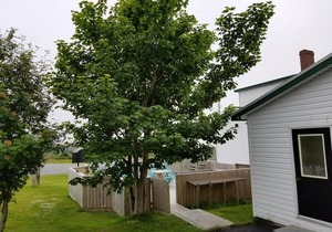 Edge of The Avalon Inn