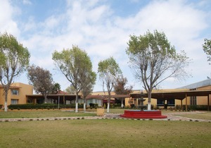Gamma Pachuca