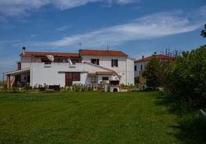 Hotel Dory