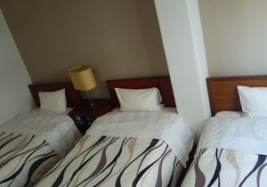 Saijo Central Hotel