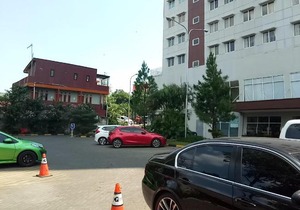Pinewood by HN