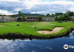 Tulfarris Hotel and Golf Resort