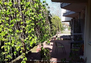 Studio csak 120 méterre a beach