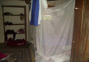 Boxes 7,8 and 9 with private showers for 6 people