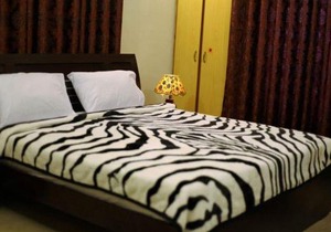 Elegant Palace Guest House