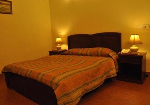 Elegant Palace Guest House