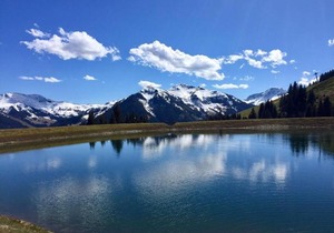 Am Zwölferkogel Appartements