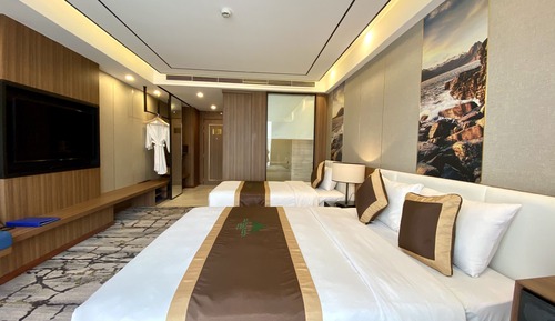 Deluxe Double or Twin Room