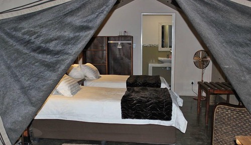 Standard Tent (Meru Style)